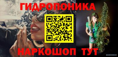 дмт Можга
