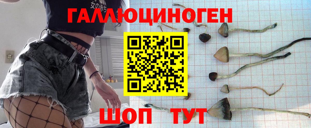 Псилоцибиновые грибы мухоморы  Псилоцибиновые грибы MAGIC MUSHROOMS  где найти наркотики  Тверь  Вход с VPN 